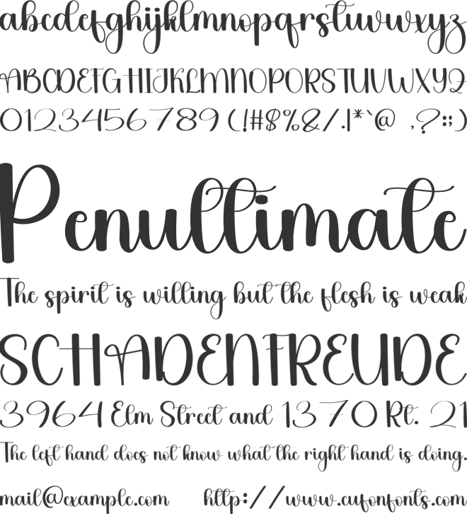 Vintage Wedding font preview