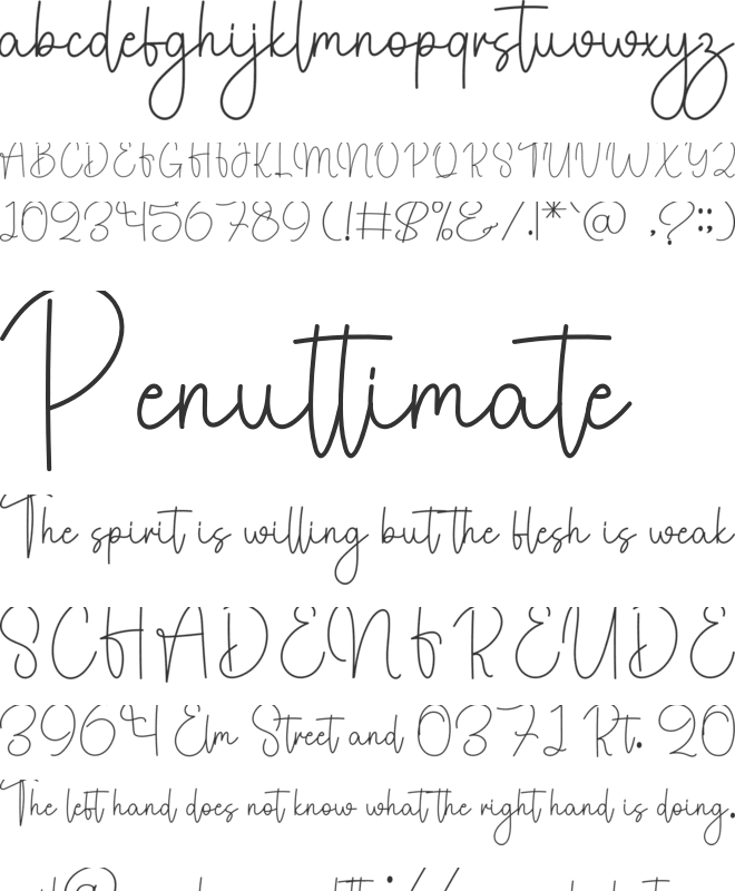 Wedding Anitimes font preview