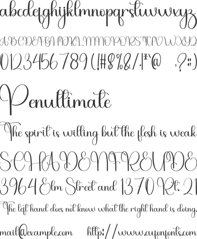 Biography font preview