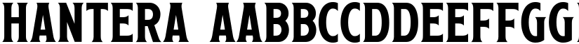 Hantera font download