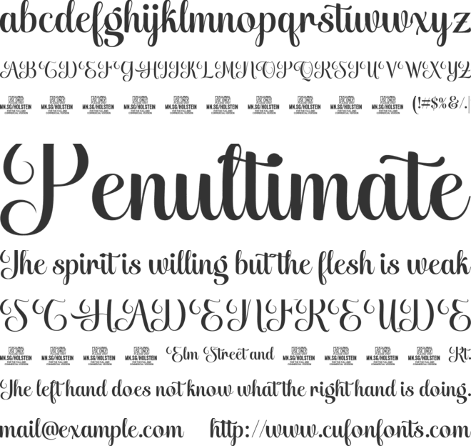 Holstein Script PERSONAL USE font preview