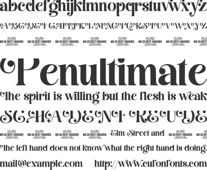 Best Swashed PERSONAL USE font preview