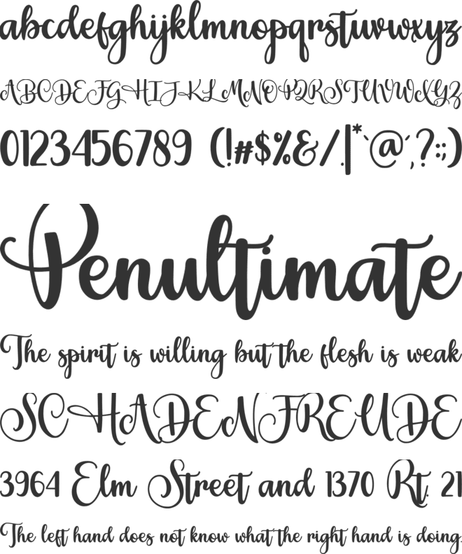 Muthia font preview