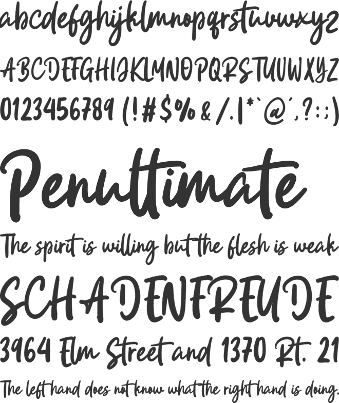 Cinthya Austen font preview