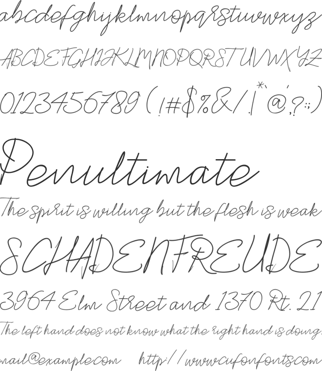 Stylish Script font preview
