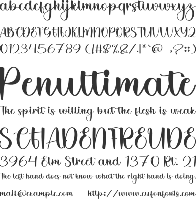 Sunday Christmas font preview