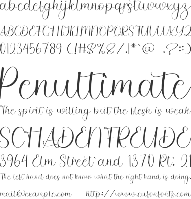 School Football font preview