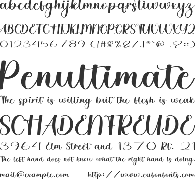 Teacher Christian font preview