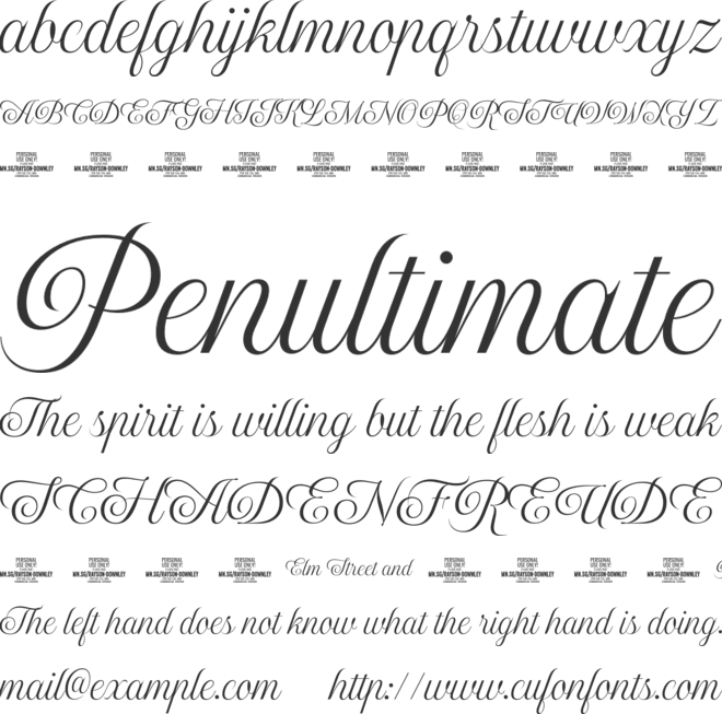 Rayson Downley Script PERSONAL font preview