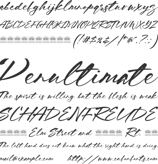 Blooming field - Non Commercial Use font preview