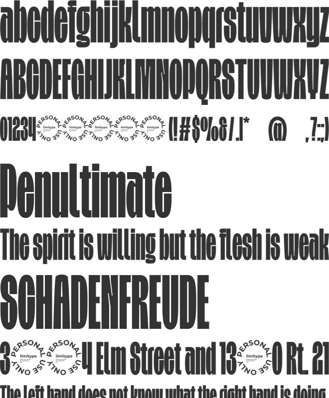 Skybold Condensed Font font preview