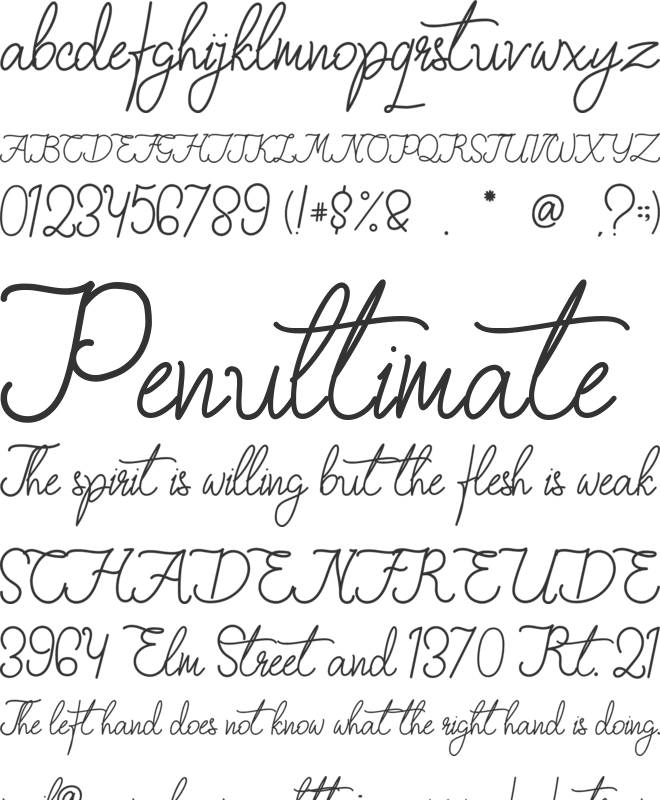 Fiona Lattina font preview