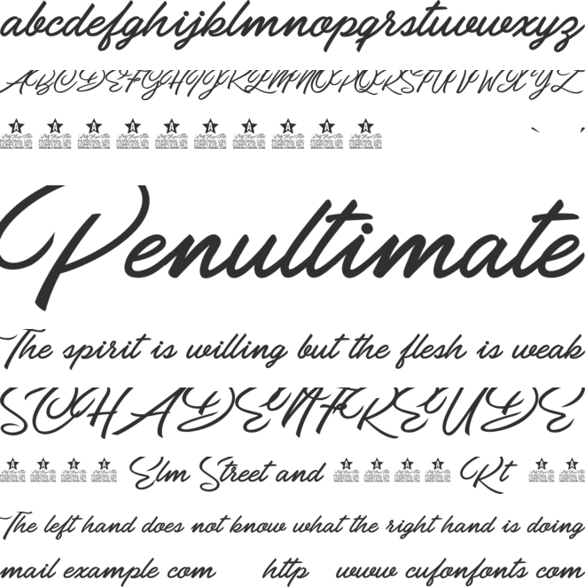 Pilsen Extra Personal Use font preview