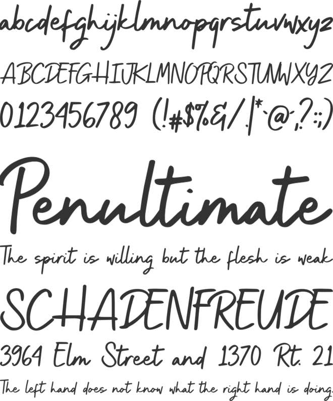 Authenticity ads font preview