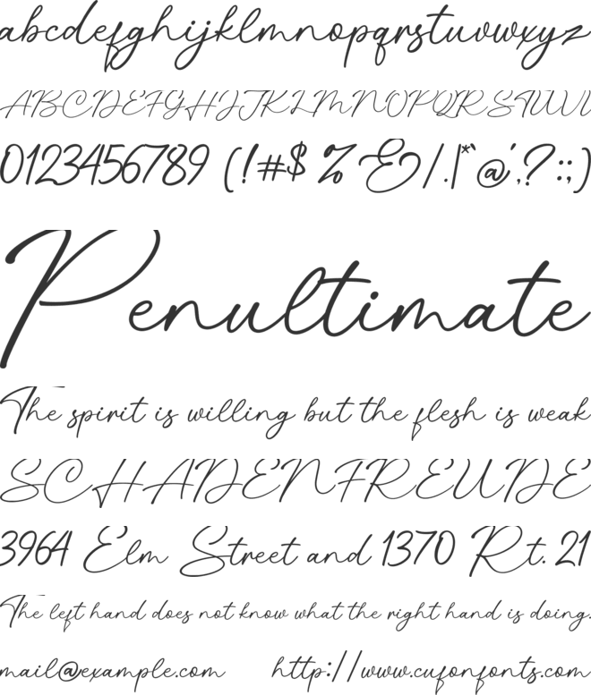Ningetan font preview