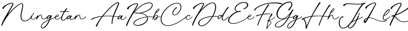 Ningetan font download