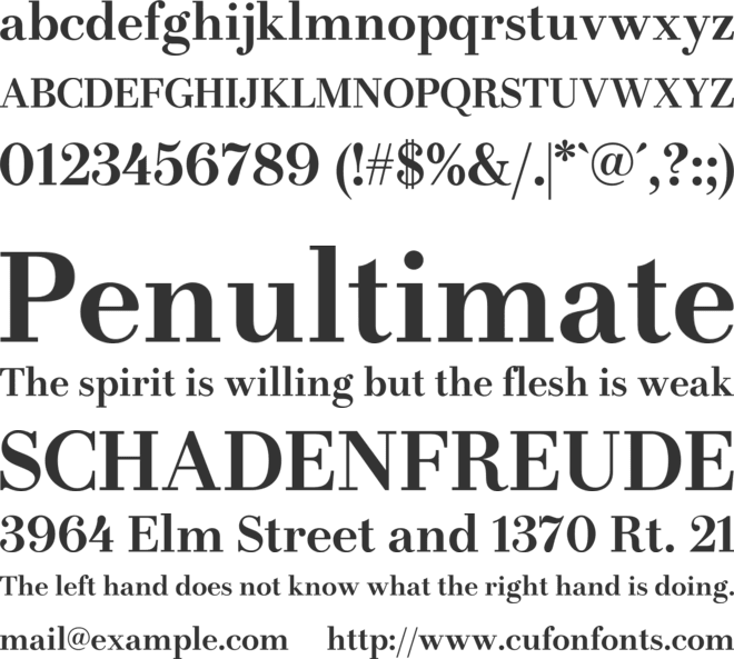 LT Afficher Neue font preview