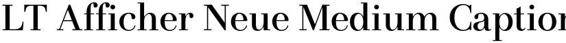 LT Afficher Neue Medium Caption font