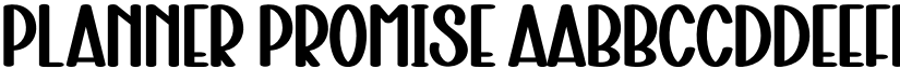 Planner Promise font download