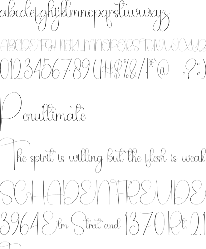 Angel Wonderful font preview