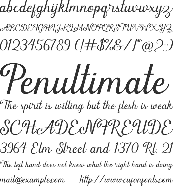 Thuckies font preview