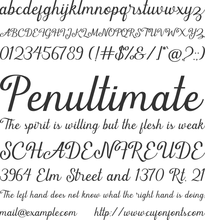 Thuckies font preview