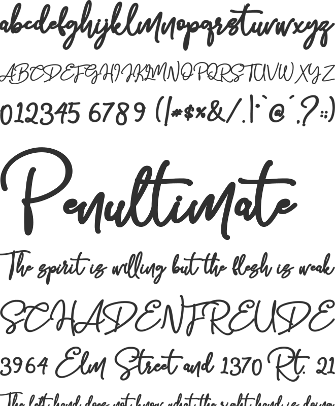 Bolder Line font preview