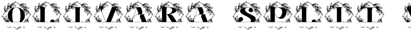 Olivara Split Monogram font