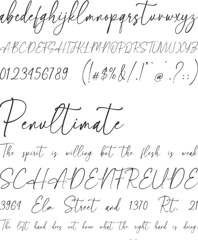 Shintalova font preview