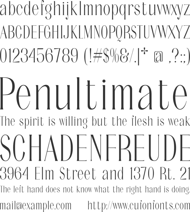 Noctaire font preview