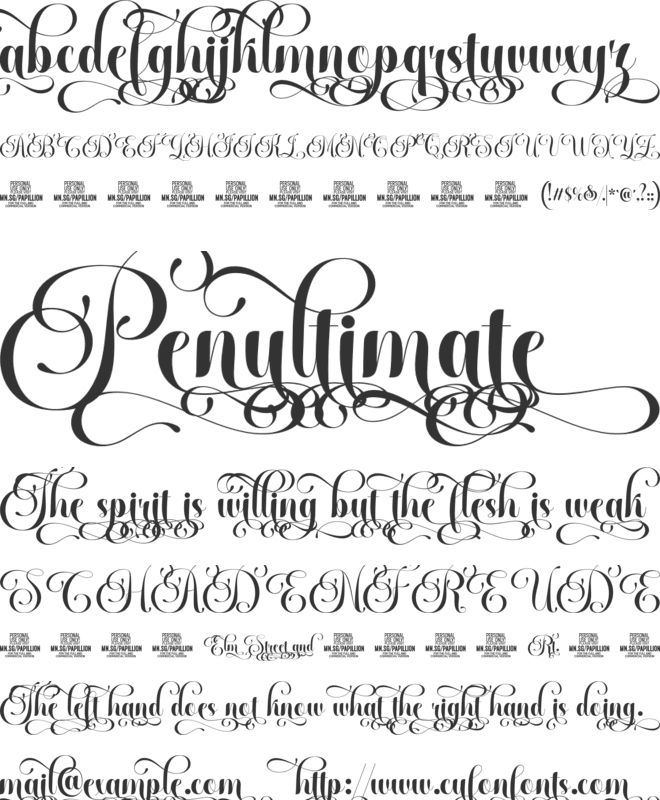 Papillion Swashed PERSONAL font preview