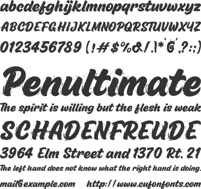 Ducks Fiesta font preview