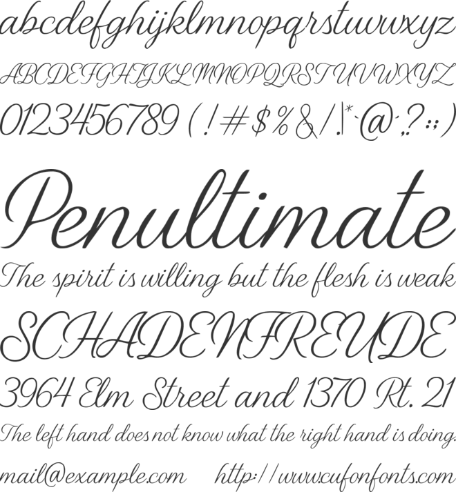 Salon du Chocolat font preview
