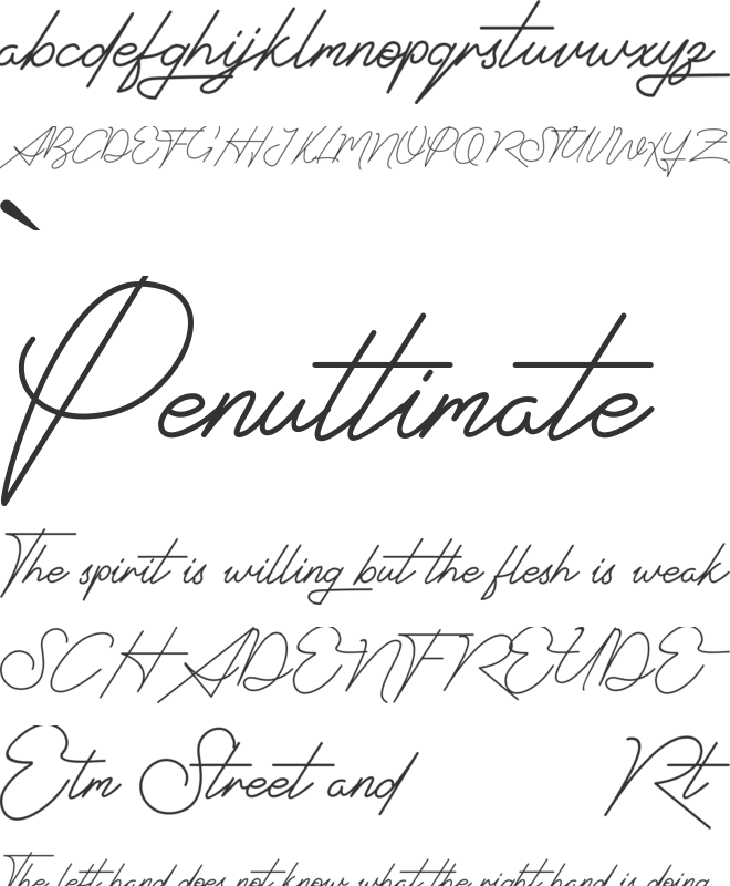 Signatrust font preview