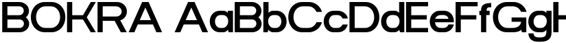 BOKRA font download