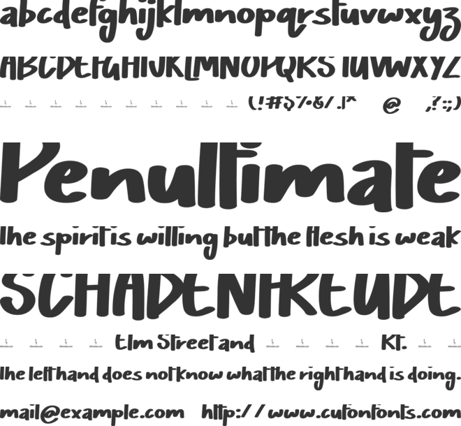 Bobbie Chaser font preview