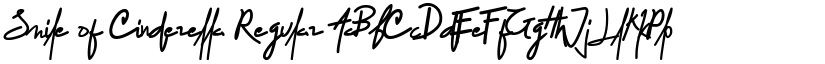 Smile of Cinderella Regular font