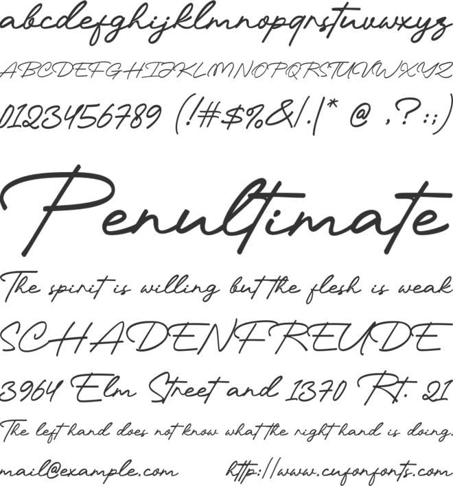 Valentine Delight Script font preview
