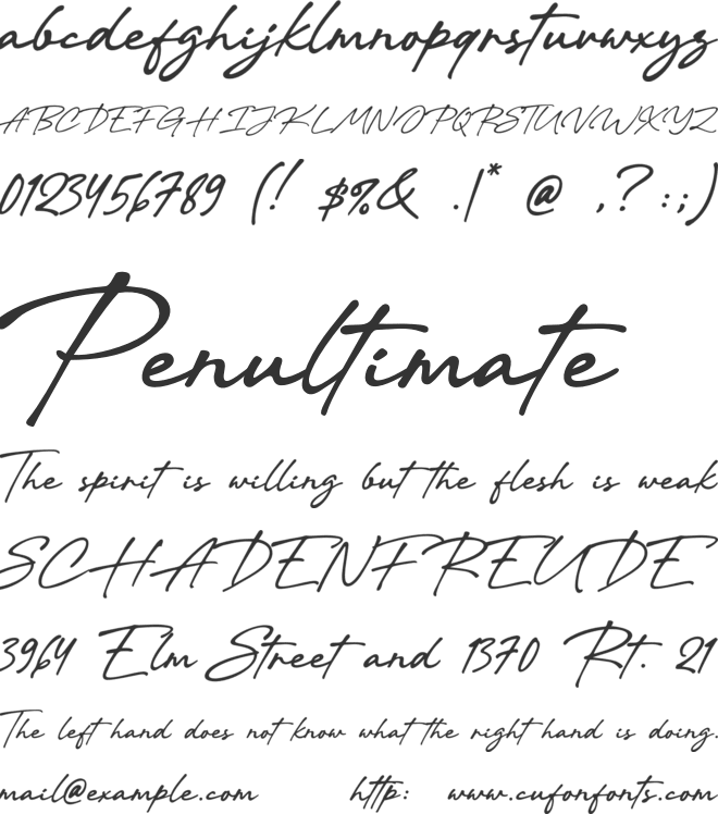 Valen Valentine Script font preview