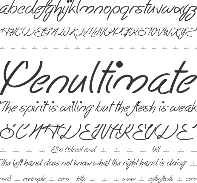 Easy Rider font preview