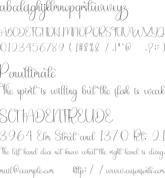 Handmade Wedding font preview