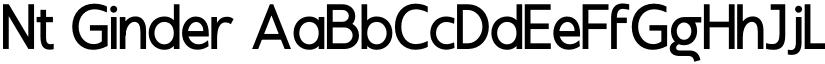 Nt Ginder font download