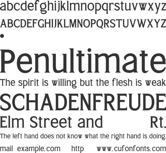 NT Bright Guard Mini Edition font preview