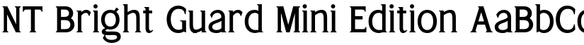 NT Bright Guard Mini Edition font download