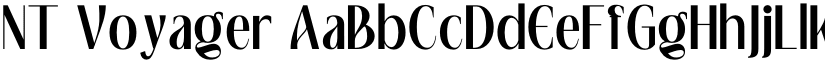 NT Voyager font download