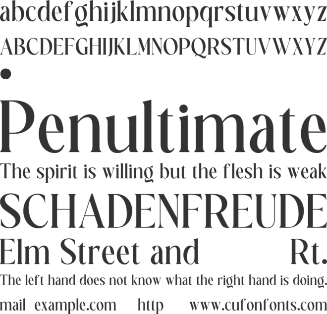 NT Palm Emile Mini Edition font preview