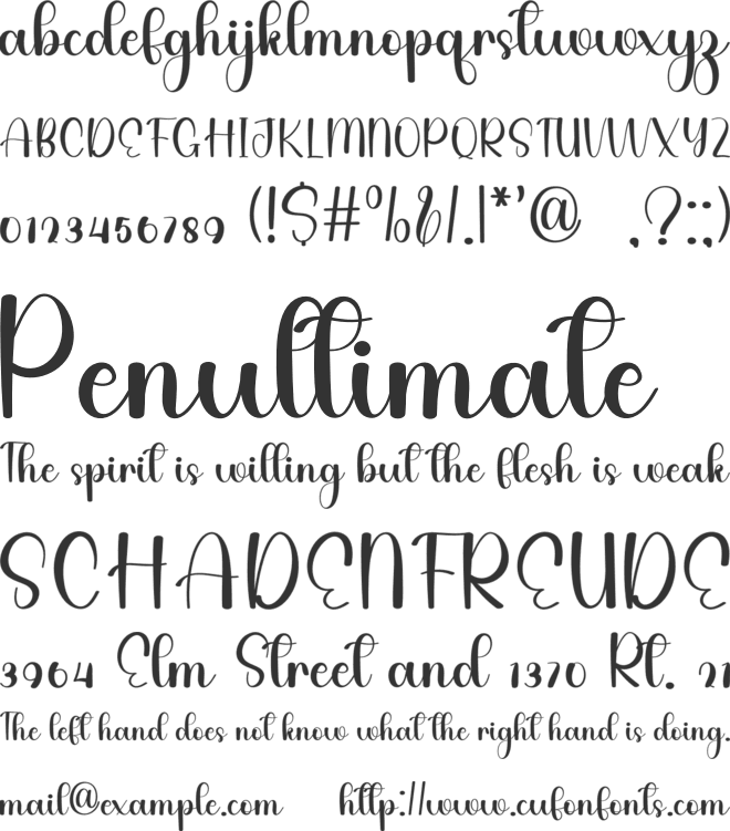 Dignity Beach font preview