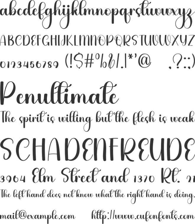 Angela Chubby font preview