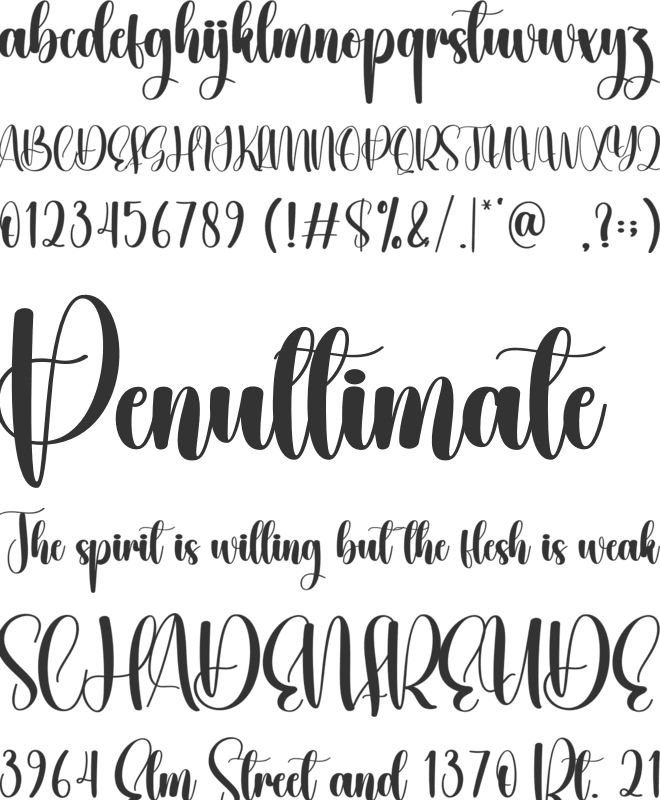 Beautiful font preview