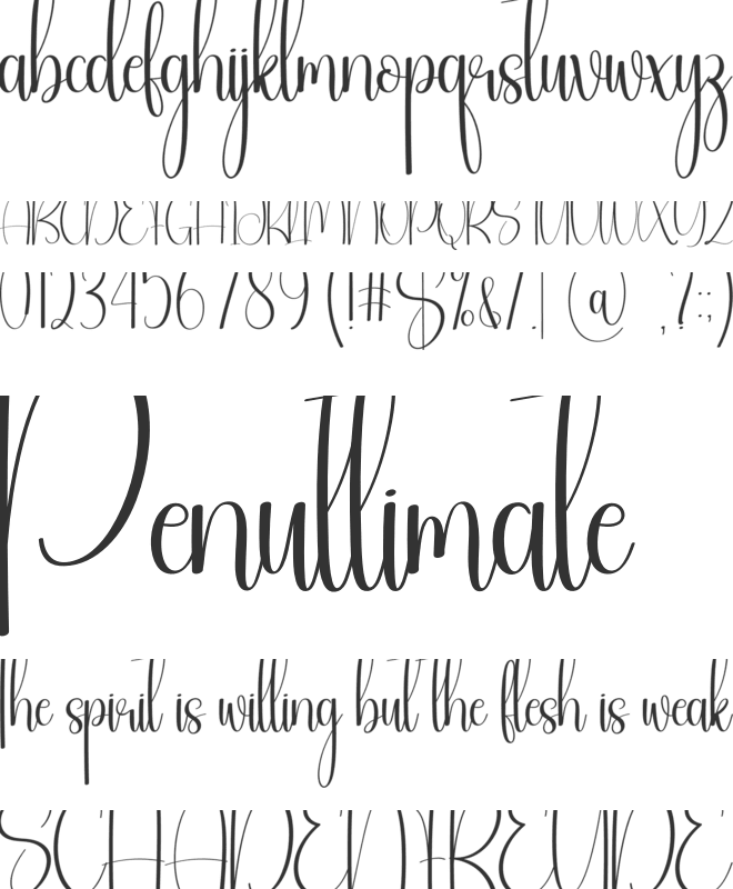 Somebody font preview